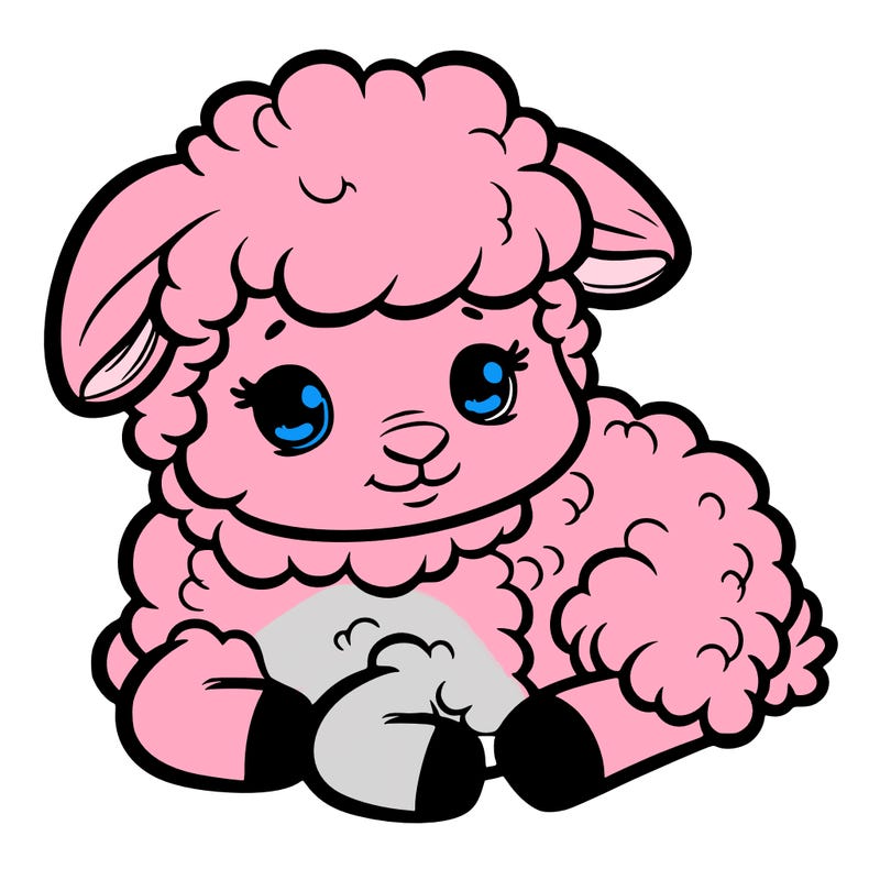 a baby sheep