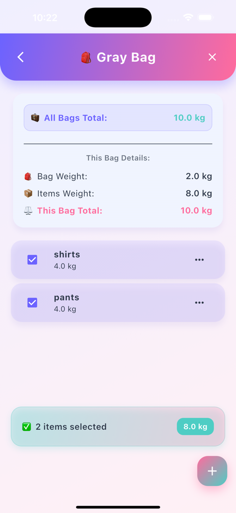 A detailed view in the Bagga Calc app showing the weight breakdown of items inside a gray bag including shirts and pants