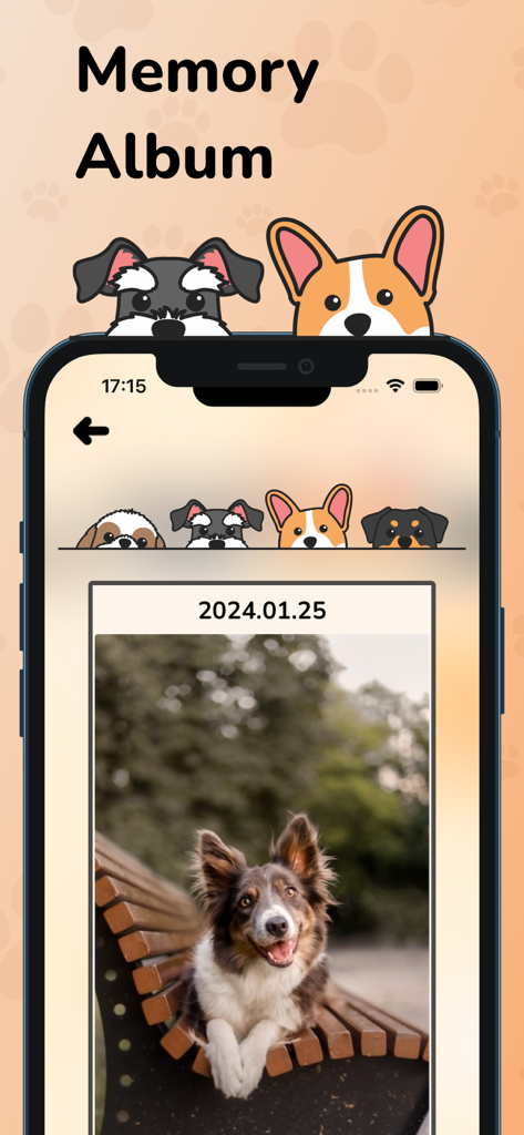 Dog bark translator sound walk - Screenshot of the Dog bark translator app showing the Memory Album feature with a photo of a dog on a park bench.