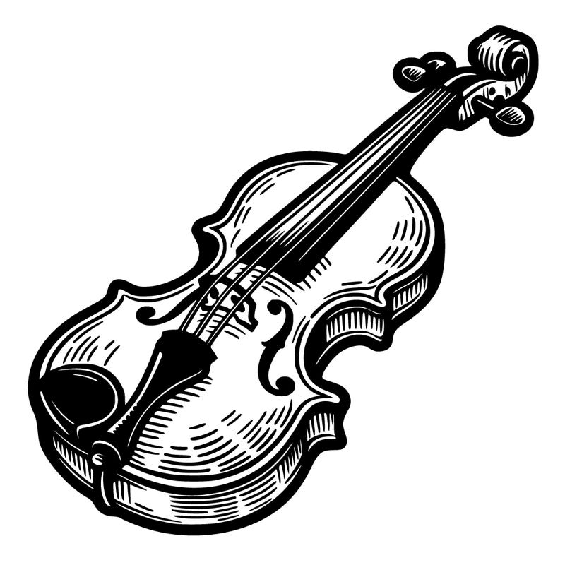 violin