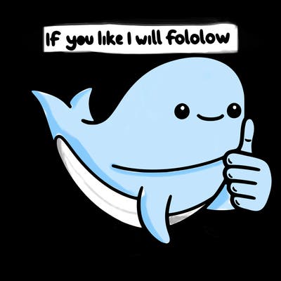 if you like i will follow you