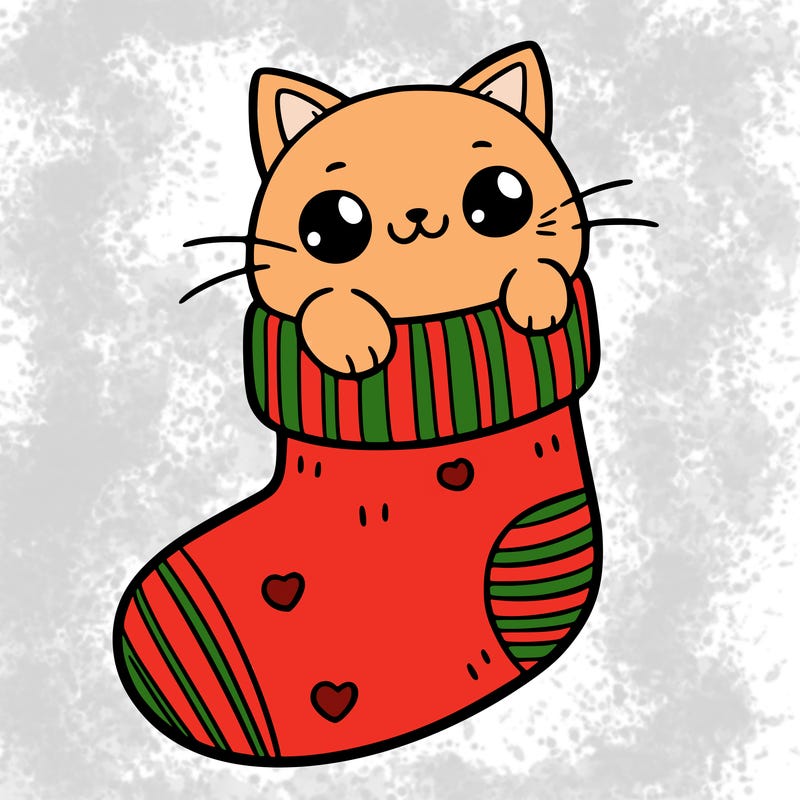 cute cat in a sock
