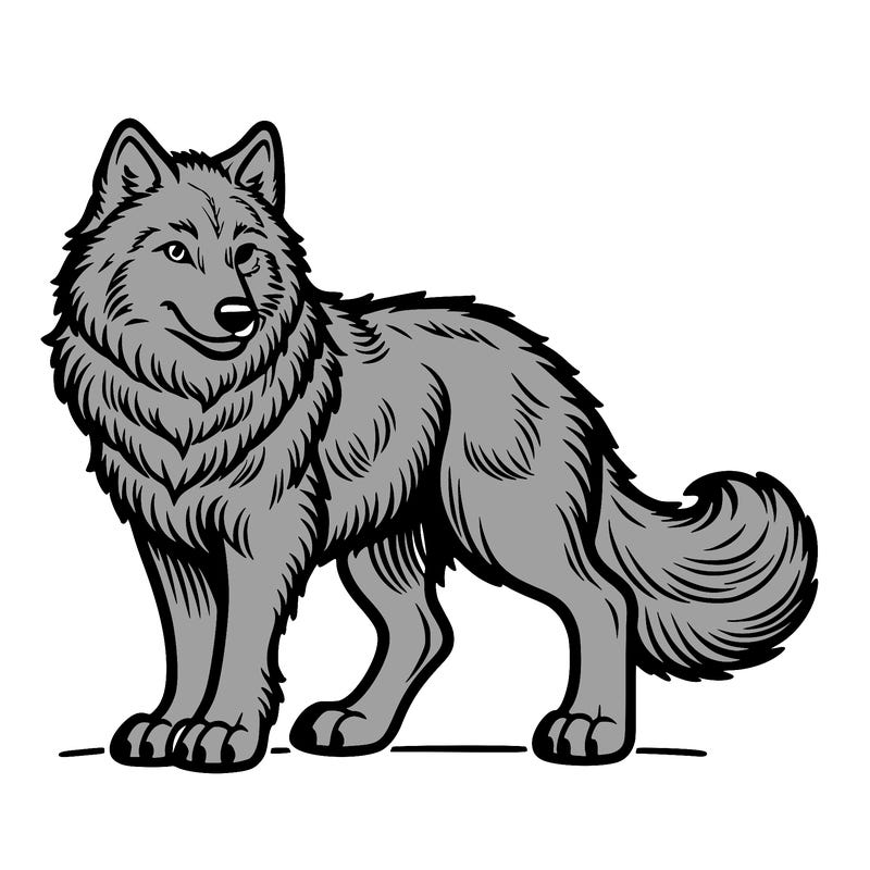 wolf