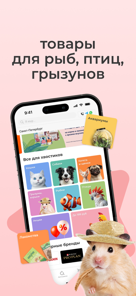 Petshopru — Все для питомцев - Aplicación Petshopru que muestra categorías de compras para peces, pájaros y roedores con un hámster con sombrero