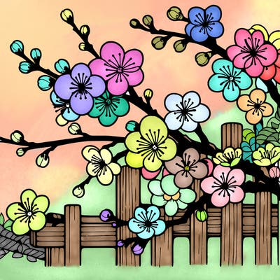 japan cherry blossom