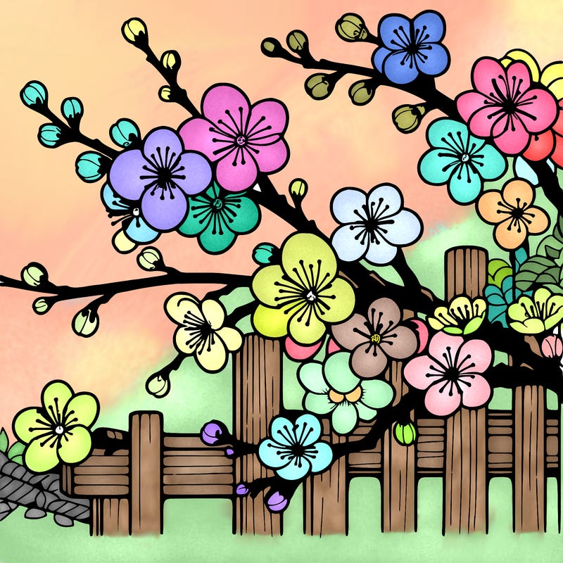 japan cherry blossom