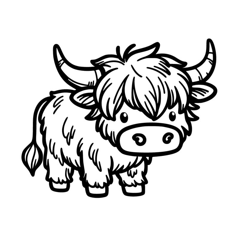 highland cow