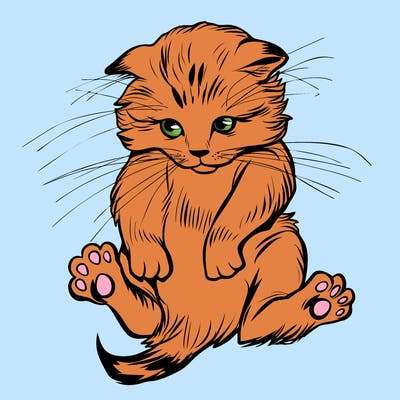 animals_20