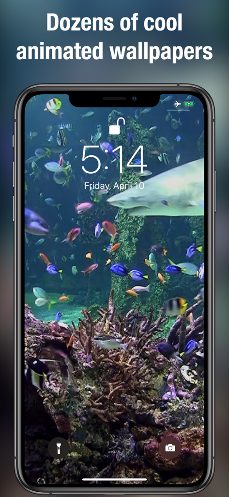Live Wallpapers & Backgrounds+ - iPhone lock screen featuring a live wallpaper of a colorful coral reef with fish and a shark