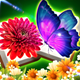Blossom Match