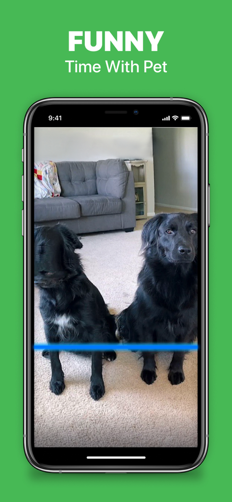 Time warp scan filter, slider - Time warp scan filter creating a funny effect on a pet dog