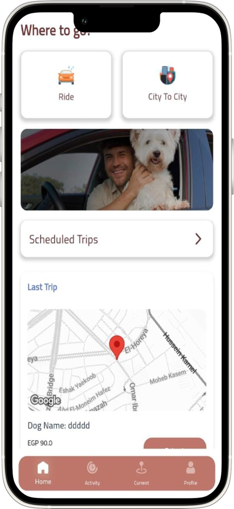 Dog Drive - La pantalla de inicio de la aplicación Dog Drive que muestra opciones de viaje y una vista de mapa para el transporte de mascotas