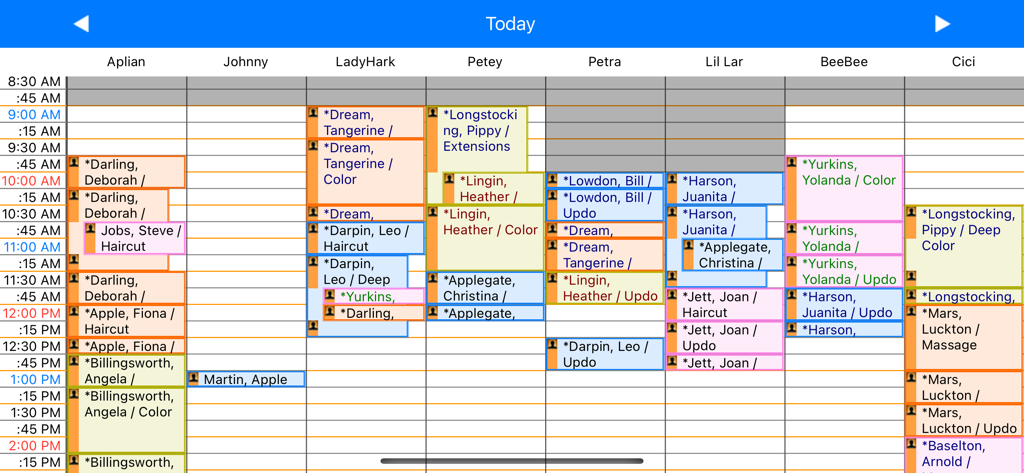 Graphical view of a salon appointment schedule with staff names and client services in the STX app