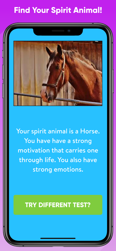 Uno schermo di un'app mobile che mostra un cavallo come risultato di un quiz sull'animale spirituale.