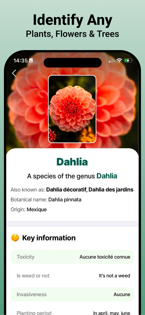Jungle: Plant Identification - A smartphone interface from the Jungle app identifying a Dahlia flower and displaying botanical data such as toxicity and origin.