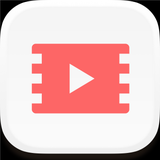 VideoCopy: Download manager