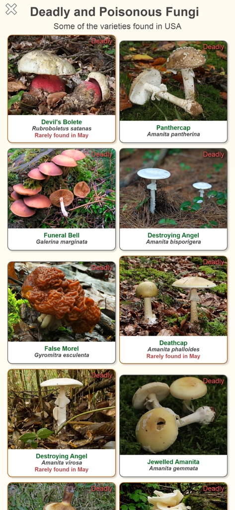 A screen in the Shroomify app showing a grid of deadly and poisonous mushroom varieties found in the USA including names and photos.