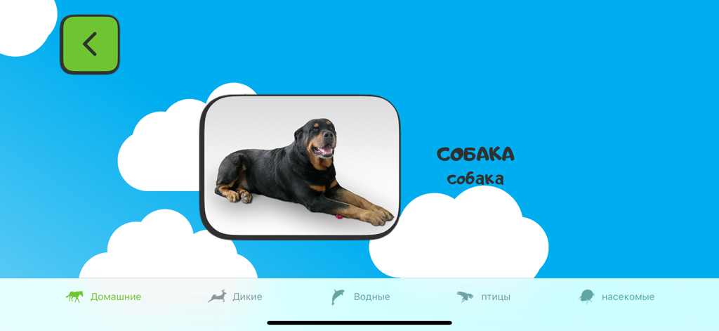 ABC for kids (RU) - Russian language learning app screen featuring a dog and the word sobaka