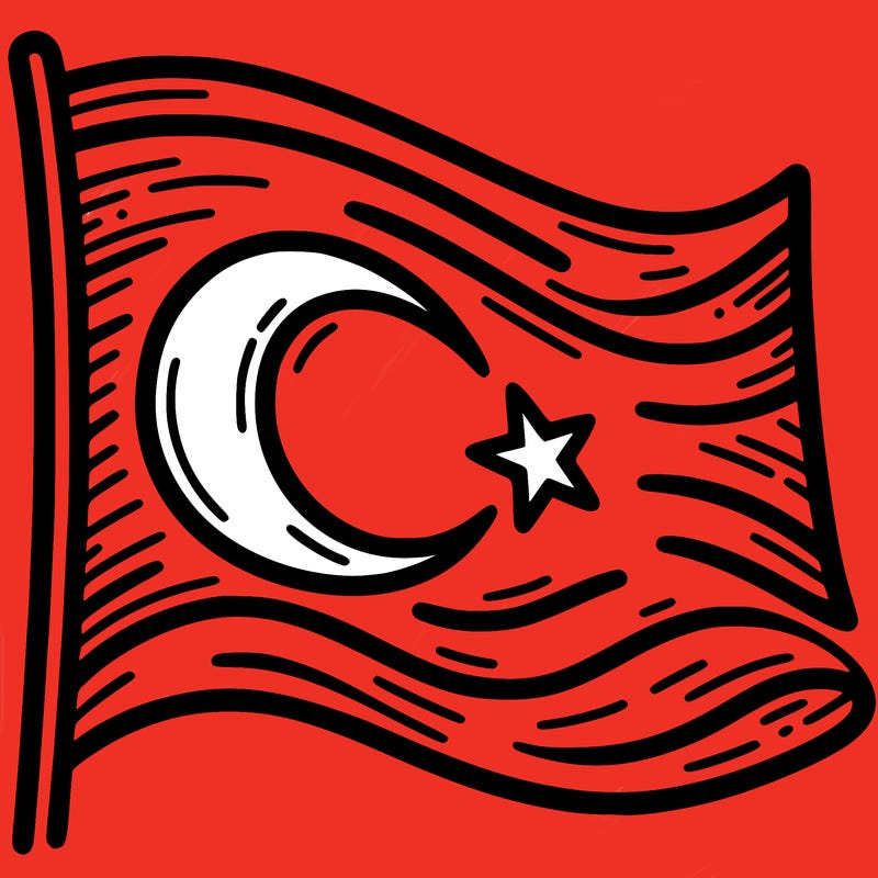 turkish bayraiği