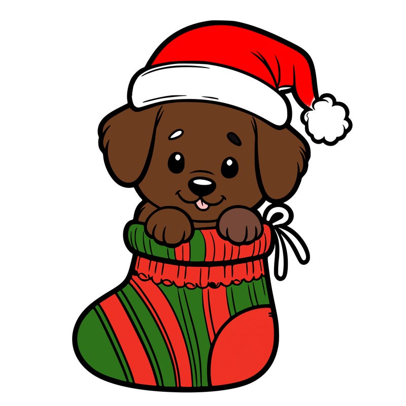 cute puppy wearing santa hat in socking