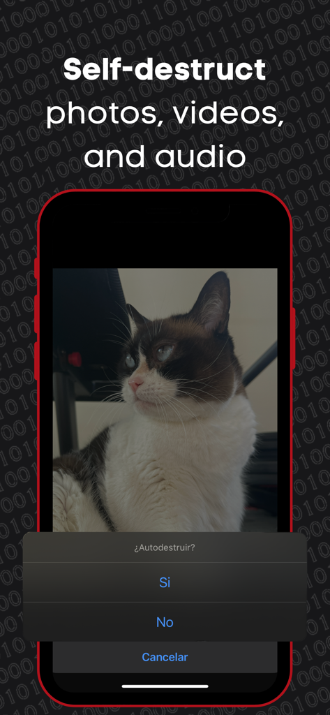 Criptoo - Interface do aplicativo Criptoo mostrando uma foto de gato com um prompt de autodestruição para compartilhamento seguro de arquivos