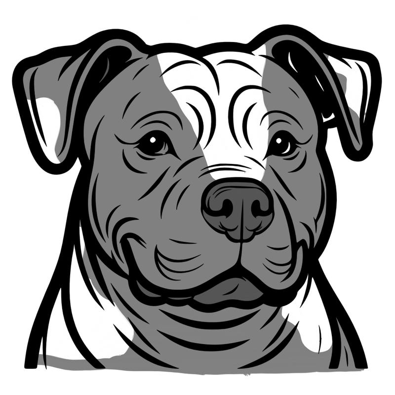 pitbull