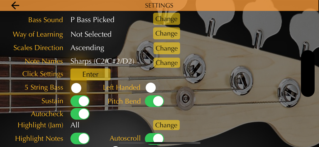 Bass Guitar Tutor - Pantalla de configuración de la aplicación Tutor de Bajo Eléctrico que muestra opciones de personalización de sonido y estilo de interpretación.