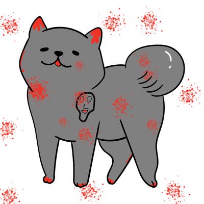 animals_29