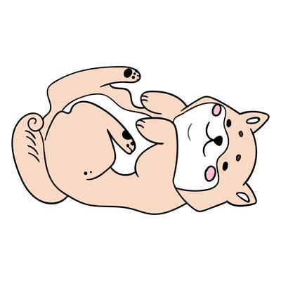 animals_30