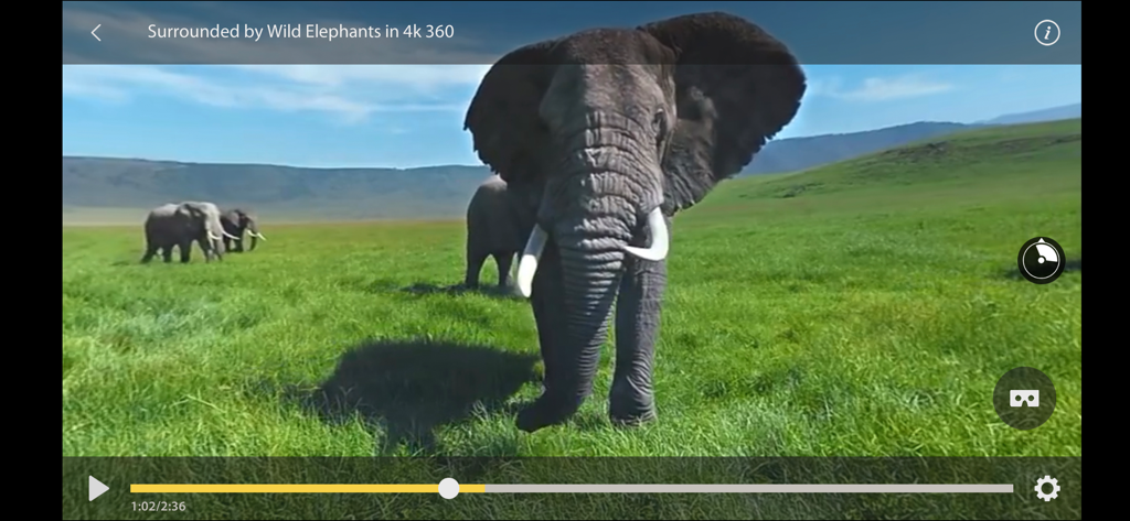 GizmoVR Lite: 360 Video & Tube - Interfaz de GizmoVR Lite reproduciendo un video 360 grados 4K de elefantes salvajes en un campo