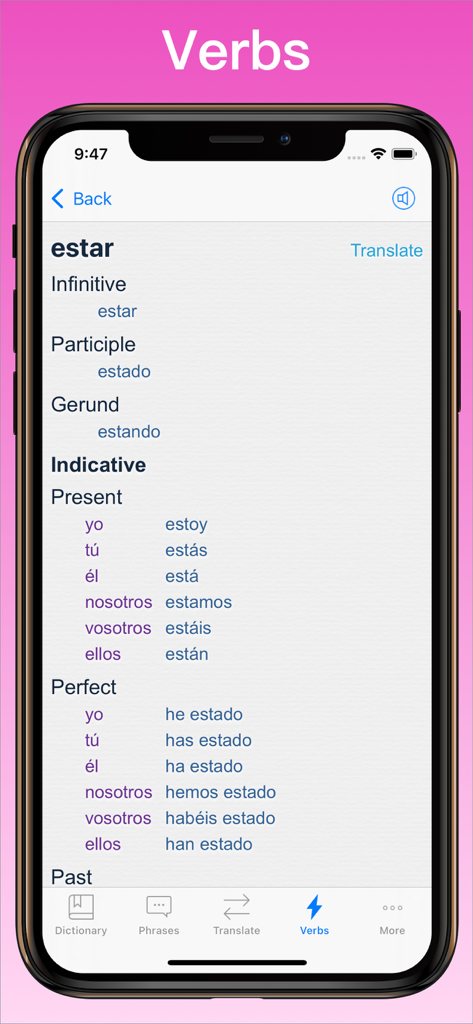 Spanish Translator + © - Spanish verb conjugation screen for estar showing present and perfect indicative forms