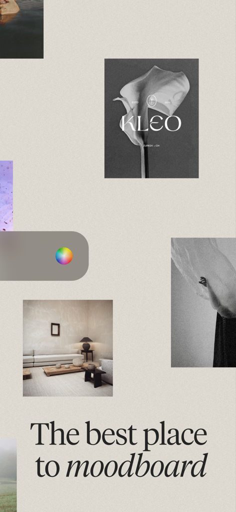 Interfaccia di moodboard digitale minimalista con immagini estetiche e strumento di ricerca per colore