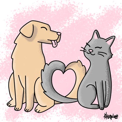 animals_22