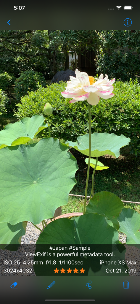 ViewExif app displaying EXIF camera settings and IPTC tags over a lotus flower photograph