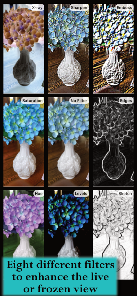 Un collage que muestra nueve filtros de imagen diferentes aplicados a un jarrón de flores dentro de la aplicación de lupa, incluidos efectos de rayos X, nitidez y boceto