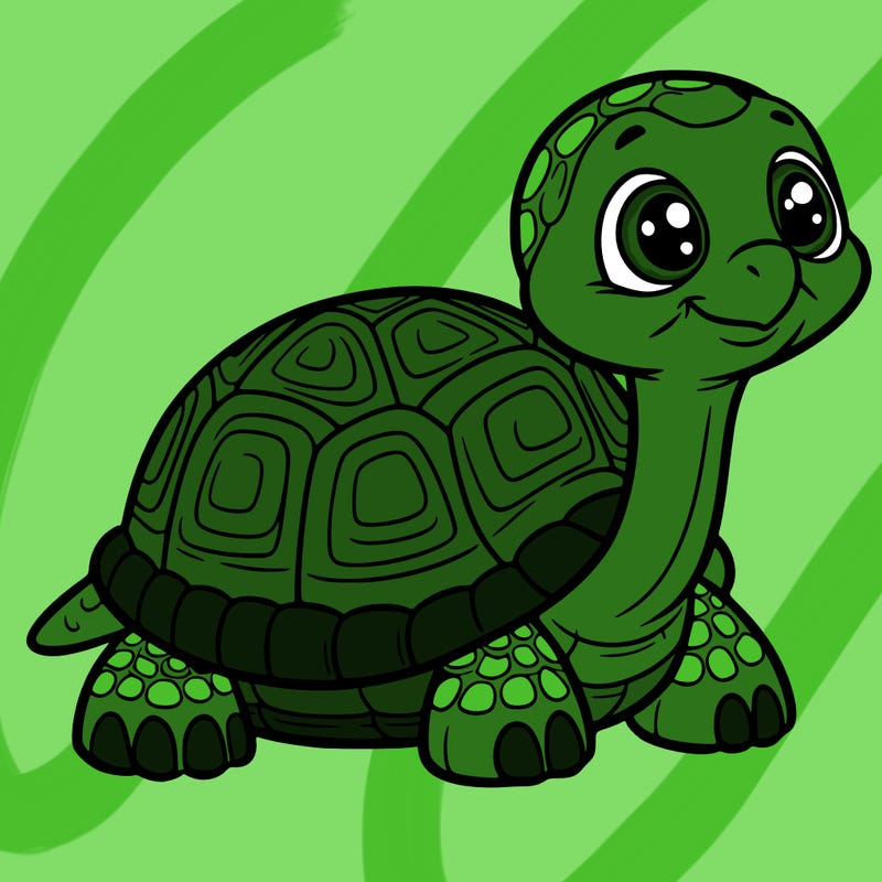 tortoise