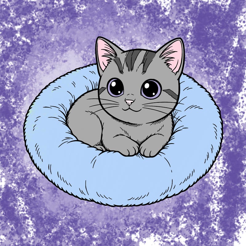 kitten in a warm fuzzy kitten bed