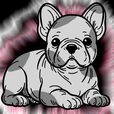 frenchie dog