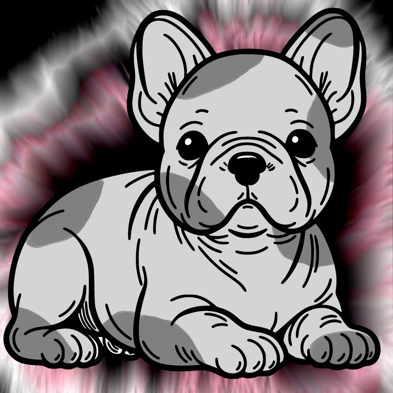 frenchie dog