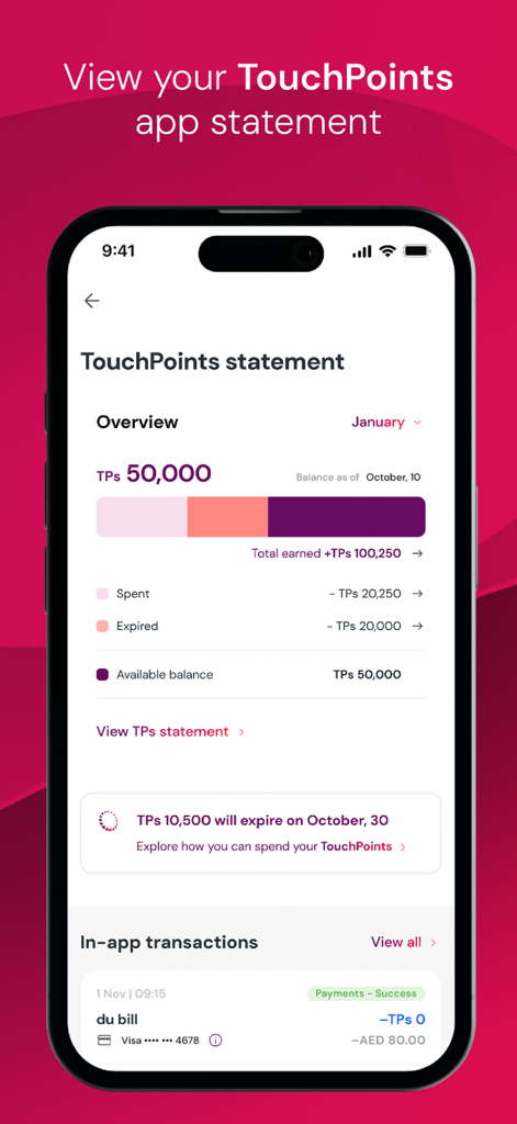 TouchPoints – Loyalty App - Pantalla de extracto de la aplicación de lealtad TouchPoints que muestra un resumen del saldo de puntos y el historial de transacciones.