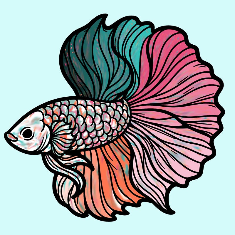 betta fish
