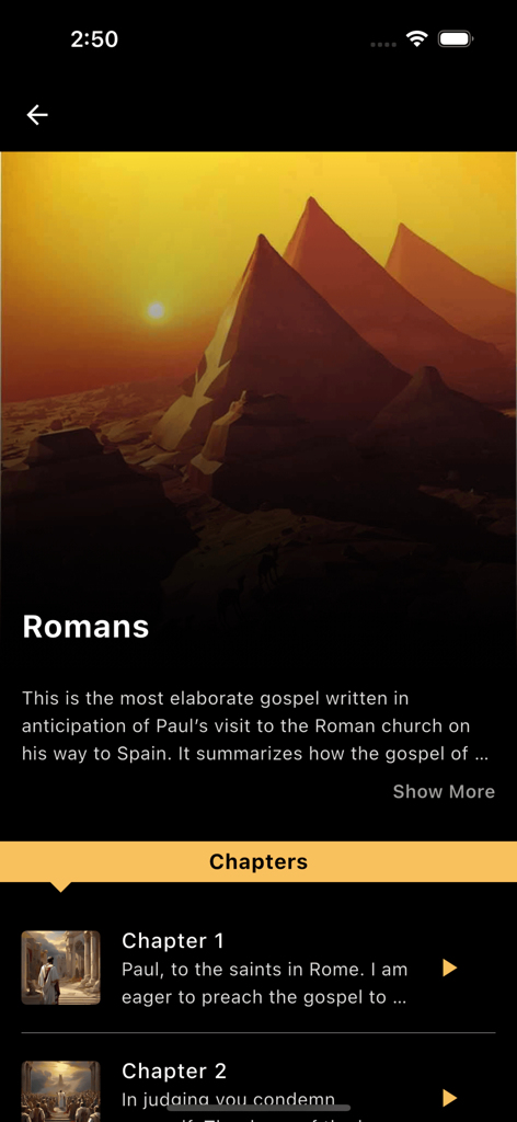 Interfaccia del Libro dei Romani nell'app Vision of the Bible con immagini cinematografiche del deserto e un elenco di capitoli.