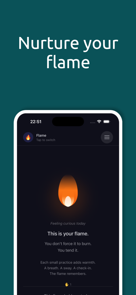 Regulator - Regulator app interface displaying the wellness flame representing daily self-care activity.