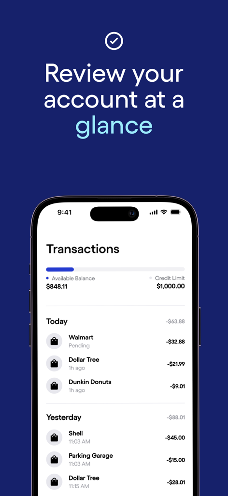 Seen Mobile app interface displaying recent transaction history and credit balance summary.