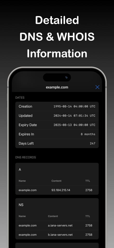 Application DNS Time affichant des enregistrements WHOIS et DNS détaillés, y compris les dates d'expiration et les informations du serveur.