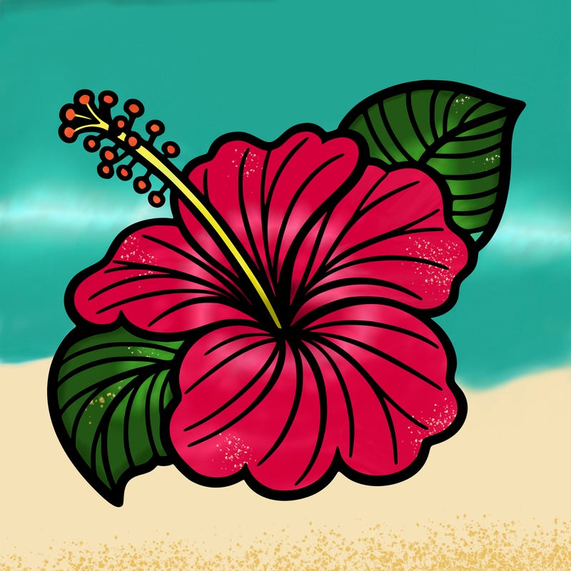 hibiscus flower