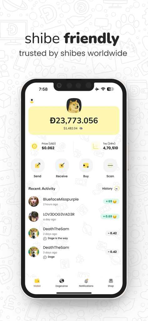 Dogecoin残高と最近の取引履歴を表示するMyDogeウォレットインターフェースのスクリーンショット。