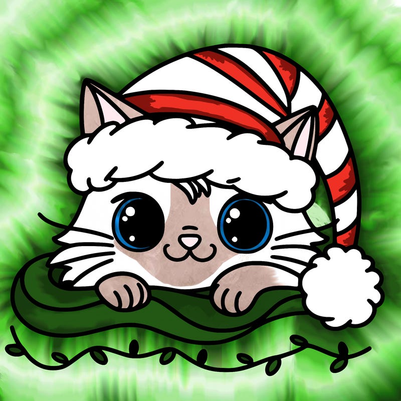 cat christmas