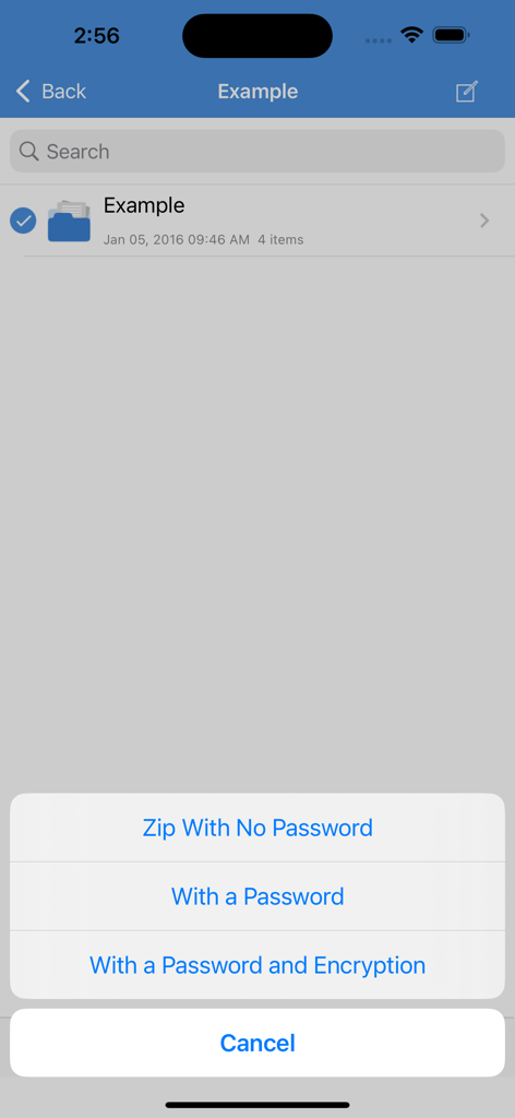 iZip app displaying zip file compression and encryption settings