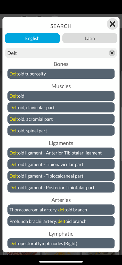 Anatomical search interface in the Anatomy 3D Atlas app showing results for deltoid in various body systems.